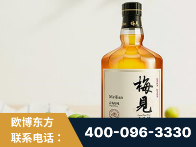 常宁-梅见青梅酒